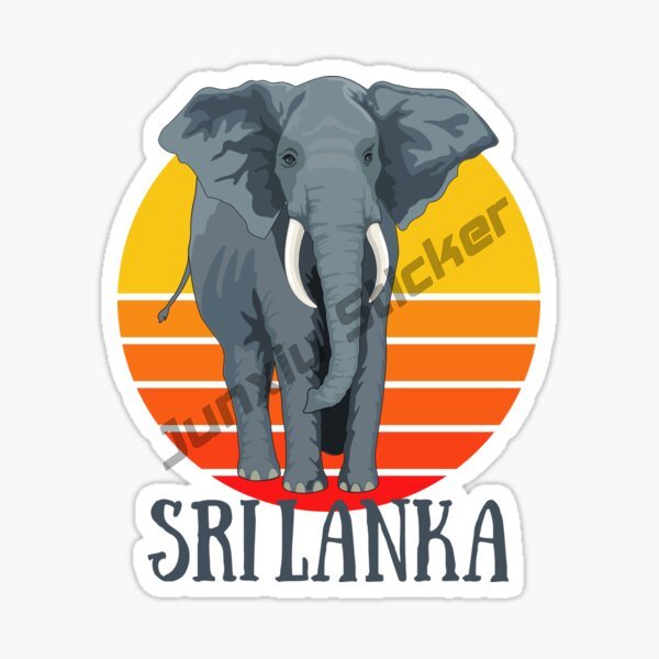 Fashion Car Sticker Sri Lanka  - Laptop Accessories Sri Lanka ulasan dan harga